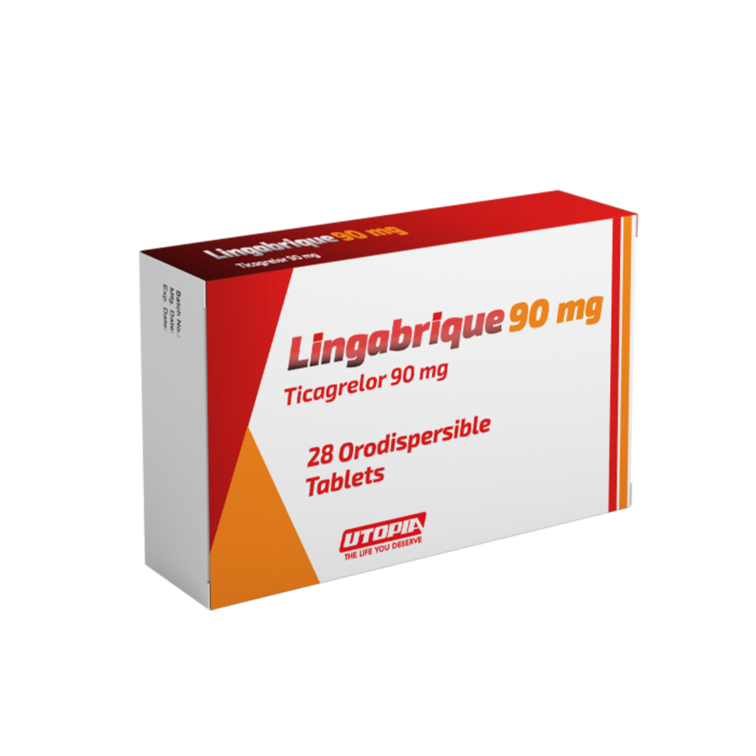 Lingabrique