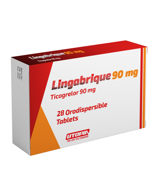 Lingabrique