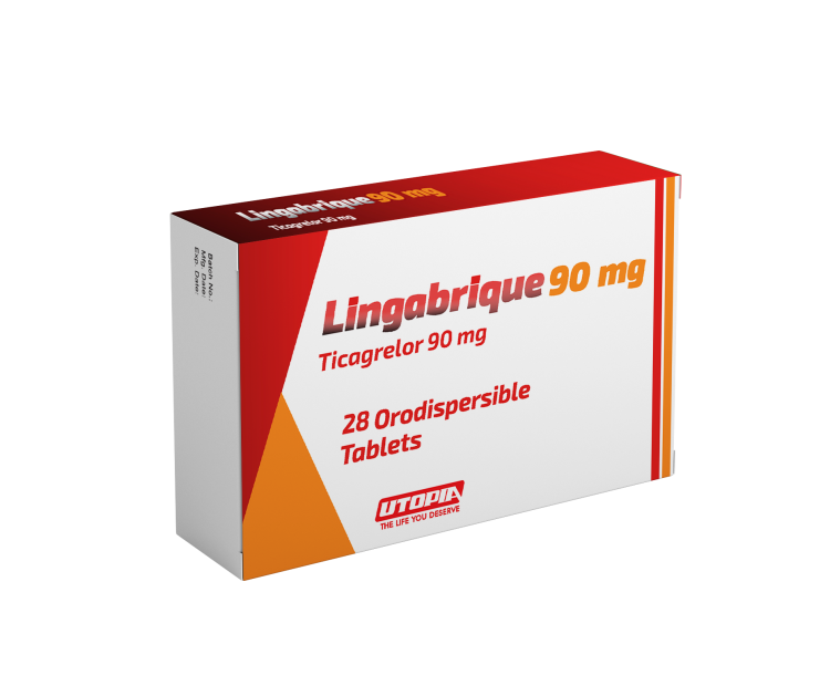Lingabrique